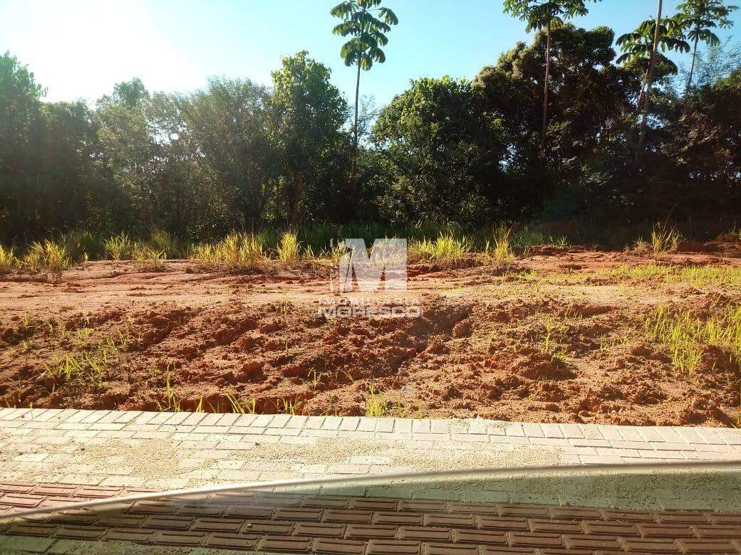 Terreno à venda no bairro Aymoré: 